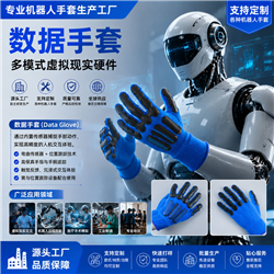 Data GloveData Function GlovesData Glove